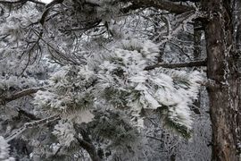 Macedonia Północna 2023