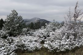 Macedonia Północna 2023