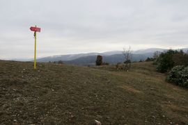 Macedonia Północna 2023