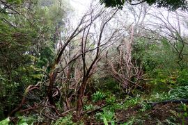 Lizbona, Porto Santo, Madera 2018