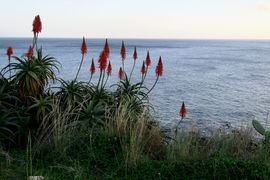Lizbona, Porto Santo, Madera 2018