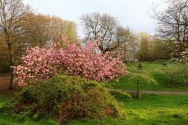 Wyspa Man, Liverpool 2023