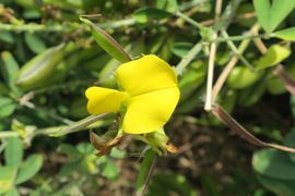 Wyspa Wielkanocna (Chile) 2019