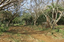 Wyspa Wielkanocna (Chile) 2019