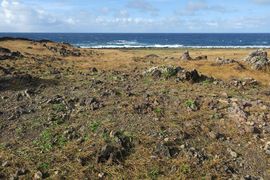 Wyspa Wielkanocna (Chile) 2019