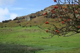 Wyspa Wielkanocna (Chile) 2019