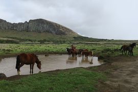 Wyspa Wielkanocna (Chile) 2019