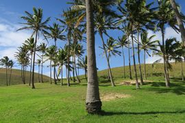 Wyspa Wielkanocna (Chile) 2019