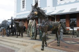 Republika Południowej Afryki 2020