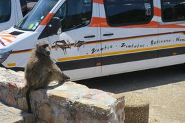 Republika Południowej Afryki 2020