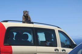 Republika Południowej Afryki 2020