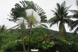 Wyspy Świętego Tomasza i Książęca - 2018