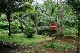 Wyspy Świętego Tomasza i Książęca - 2018