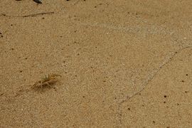 Wyspy Świętego Tomasza i Książęca - 2018