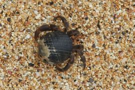 Wyspy Świętego Tomasza i Książęca - 2018