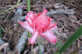 Wyspy Świętego Tomasza i Książęca - 2018