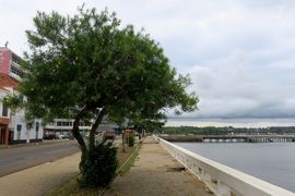 Wyspy Świętego Tomasza i Książęca - 2018