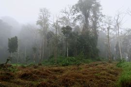 Wyspy Świętego Tomasza i Książęca - 2018