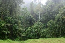 Wyspy Świętego Tomasza i Książęca - 2018