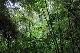 Wyspy Świętego Tomasza i Książęca - 2018