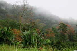 Wyspy Świętego Tomasza i Książęca - 2018