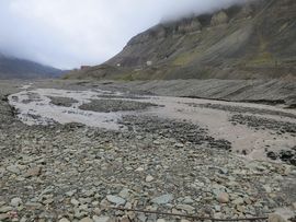 Svalbard I/II - Spitsbergen - 2013/2014