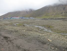 Svalbard I/II - Spitsbergen - 2013/2014