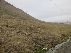 Svalbard I/II - Spitsbergen - 2013/2014