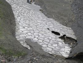 Svalbard I/II - Spitsbergen - 2013/2014