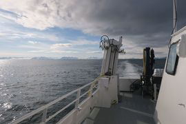 Svalbard III - Spitsbergen - 2018