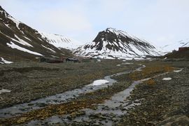 Svalbard III - Spitsbergen - 2018