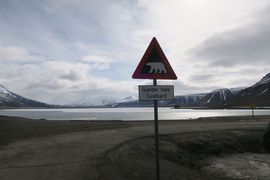 Svalbard III - Spitsbergen - 2018
