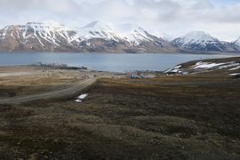 Svalbard III - Spitsbergen - 2018