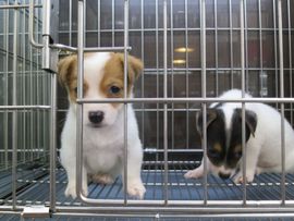 Tajwan - Taipei 2015