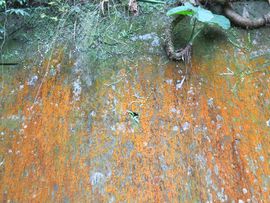 Tajwan - Taipei 2015