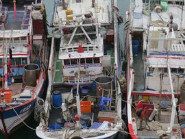 Tajwan - Taipei 2015