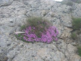Tatry Zachodnie 2008