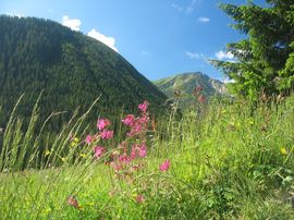 Tatry Zachodnie 2008
